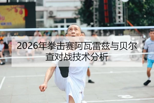 2026年拳击赛阿瓦雷兹与贝尔查对战技术分析（YABO SPORTS）