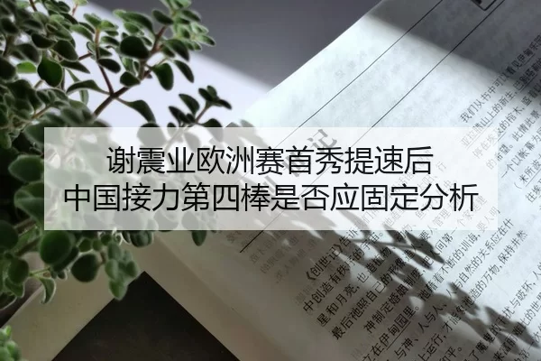 谢震业欧洲赛首秀提速后 中国接力第四棒是否应固定分析 | YABO SPORTS