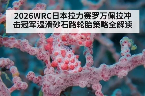 2026WRC日本拉力赛罗万佩拉冲击冠军湿滑砂石路轮胎策略全解读
